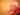 rose skincare benefits